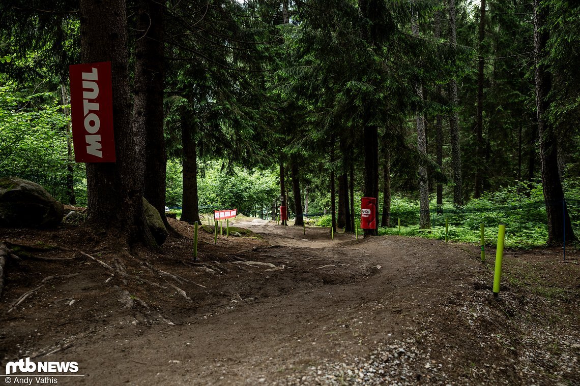 Vor der letzten Sektion im Wald wird die Strecke kurz recht flach