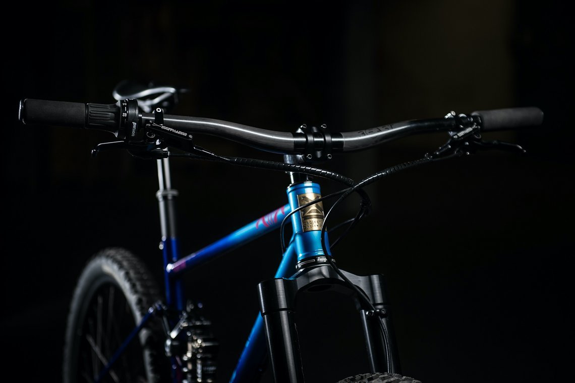 Vorbau und Lenker werden beide von Beast Components aus Dresden hergestellt.