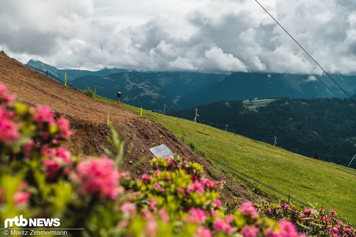Auch an einem wolkenverhangenen Tag ist die Aussicht in Les Gets durchaus schön