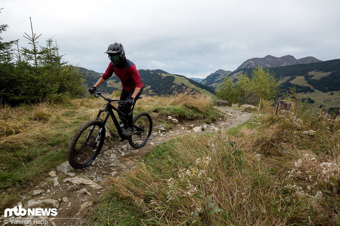 Specialized Stumpjumper Evo-330