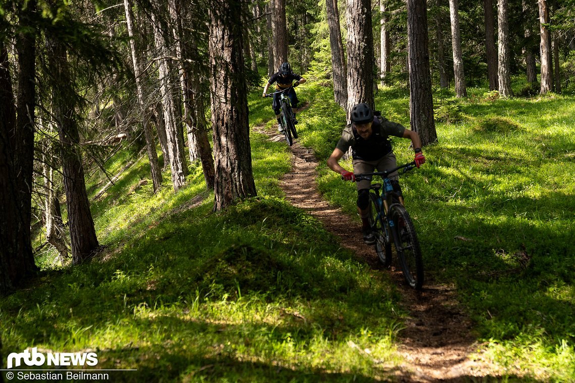 Der Trail durch den lichten Nadelwald ist ein absolutes Highlight.