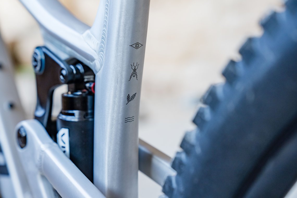 PP-Tyee-Product-MY25-eignerframes DSC7146