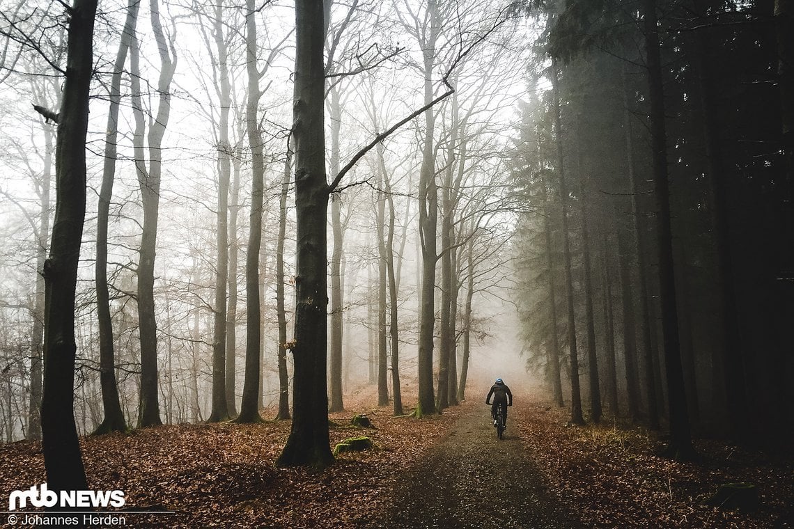 Einsam im nebligen Wald: Uphill auf den Hometrails