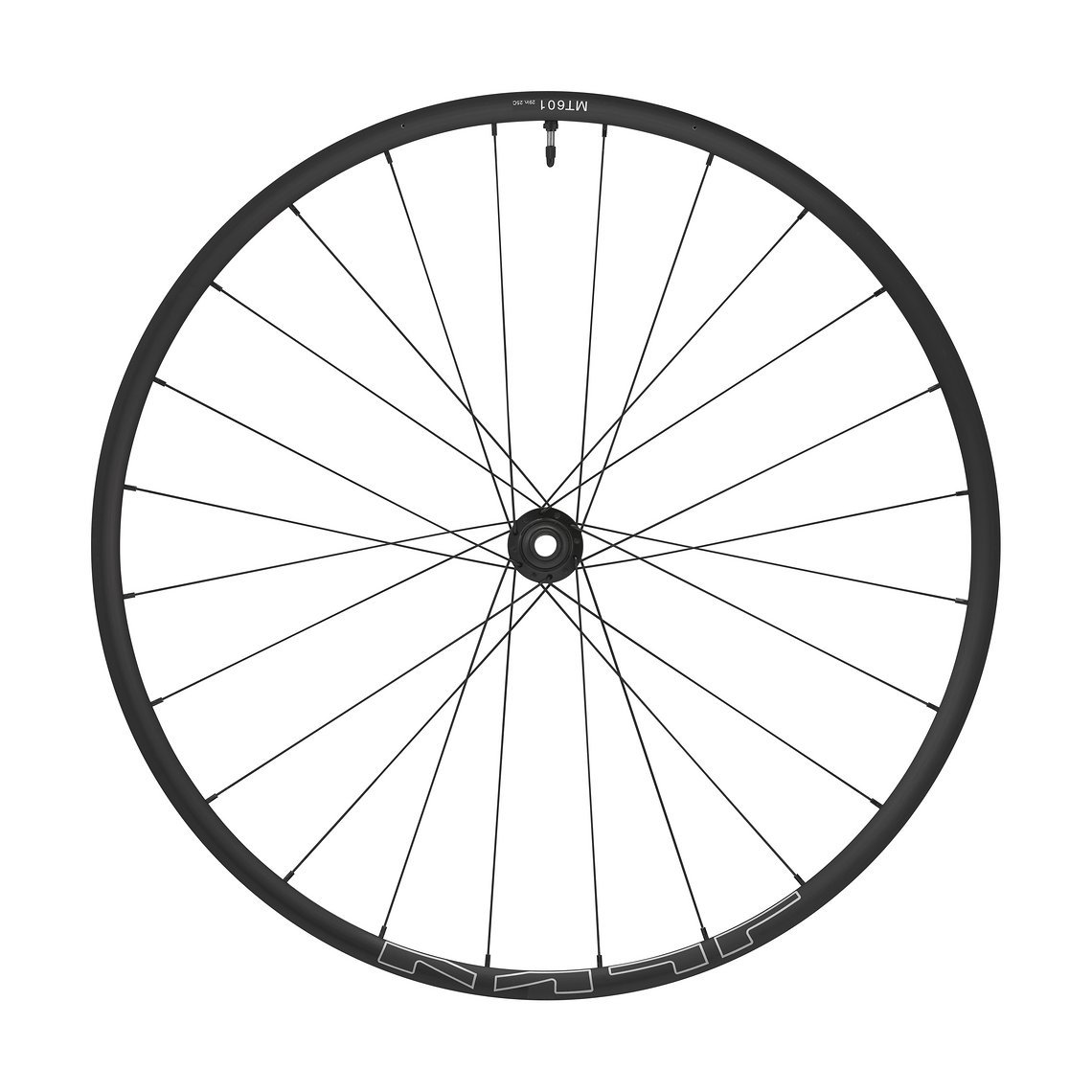 WH-MT601-TL-F15-29 C6 1