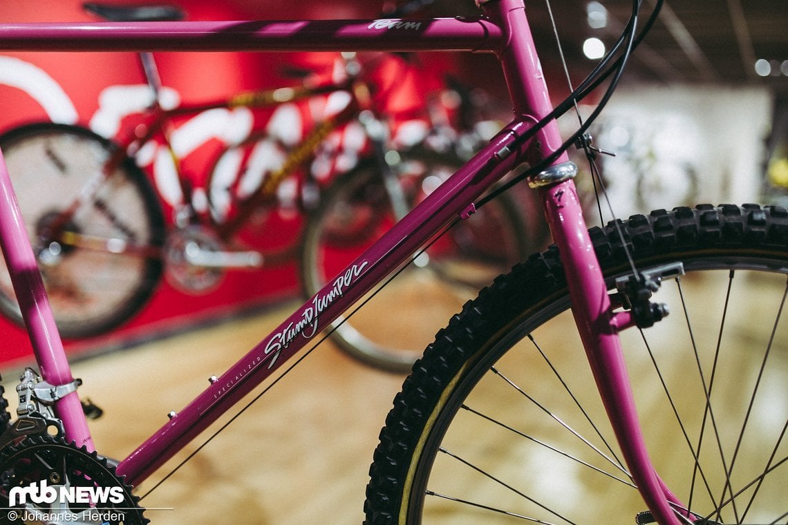 Specialized Stumpjumper – ohne Federgabel und aus Stahl in der Team-Edition