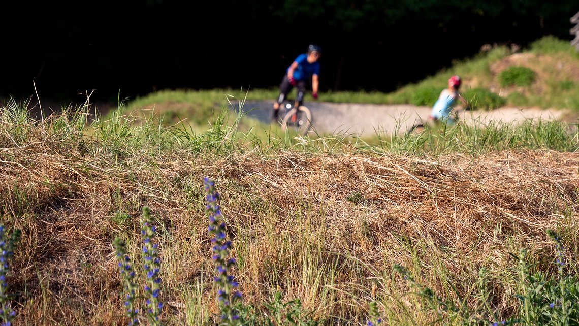 Die Hitzewelle zieht über Plessa wie die Züge der Seidenstraße, die direkt neben der BMX-Strecke entlangfahren.