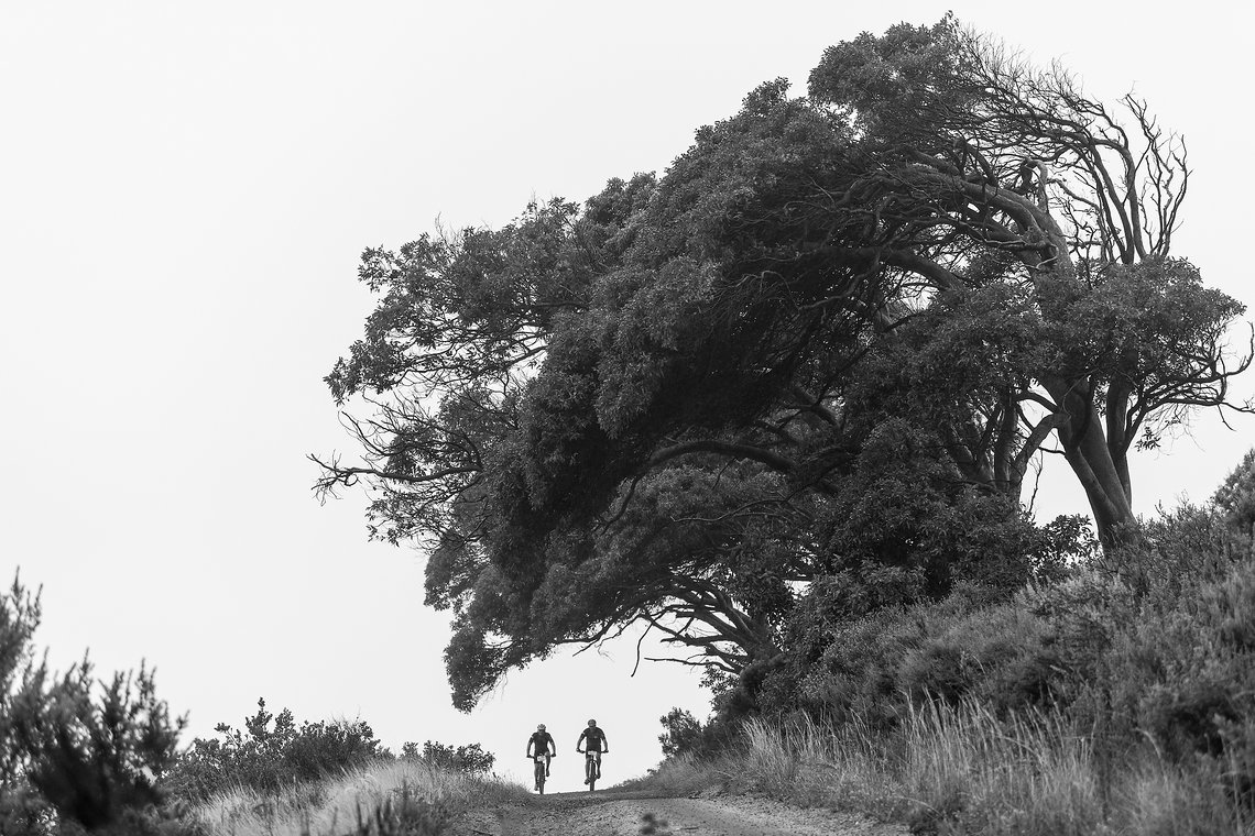Riders in the mist during the Prologue of the 2019 Absa Cape Epic Mountain Bike stage race held at the University of Cape Town in Cape Town, South Africa on the 17th March 2019.

Photo by Xavier Briel/Cape Epic

PLEASE ENSURE THE APPROPRIATE CRED