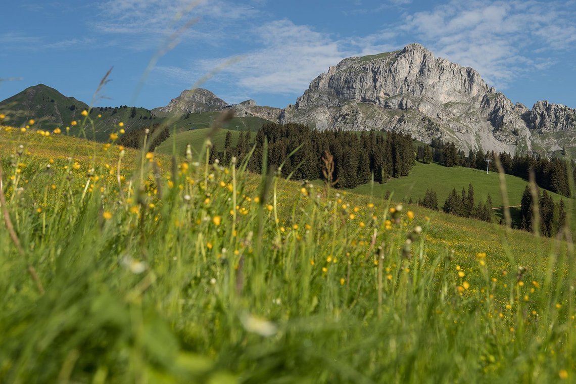 Traumhafte Schweizer Alpenlandschaft