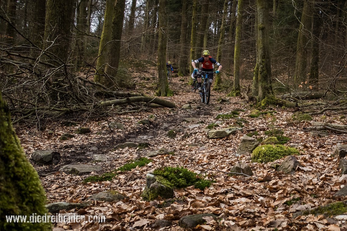 Technische Steinsektionen auf den Trails rund um Weiskirchen