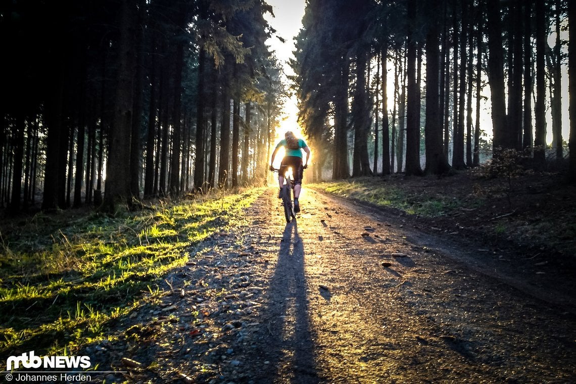 Außergewöhnlicher Zeitpunkt I: Der Fahrer befindet sich genau vor der Sonne, die präzise in den Forstweg hineinscheint