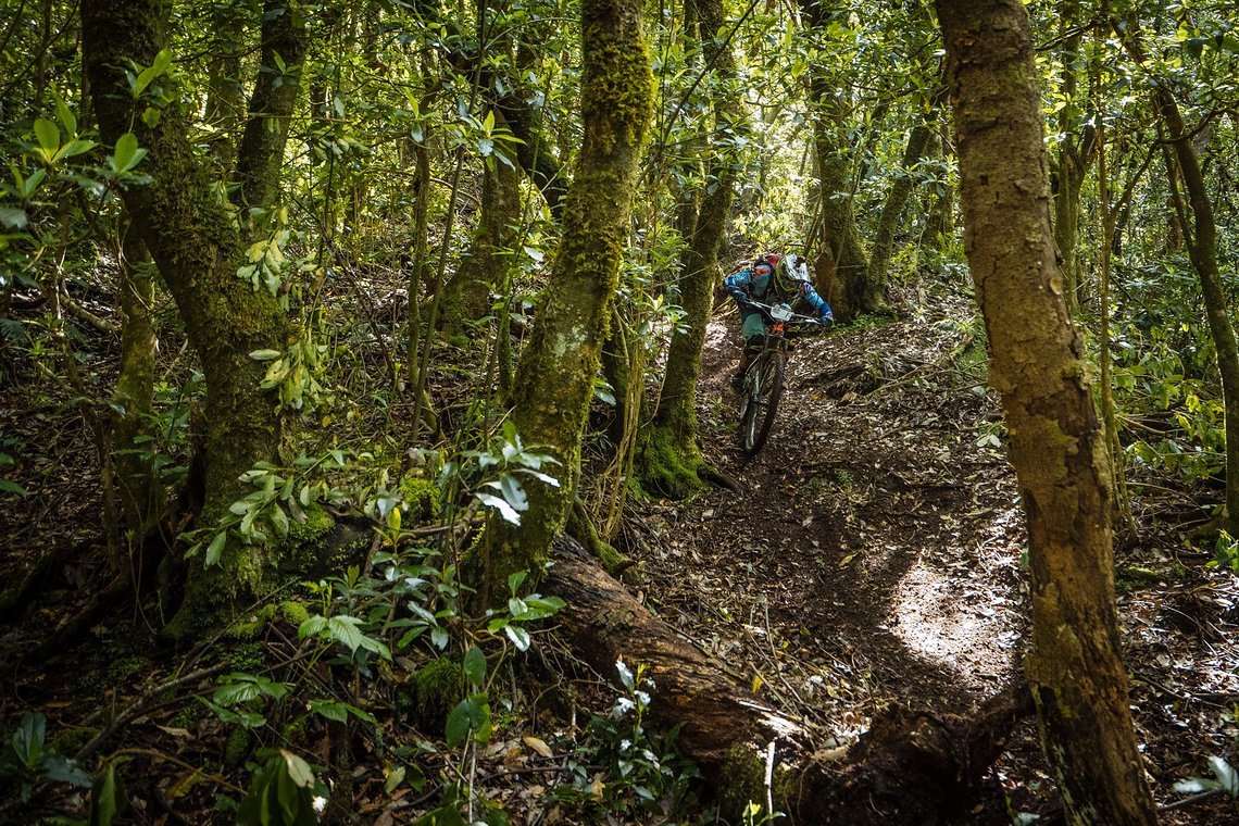 TransMadeira18 Day3-02202