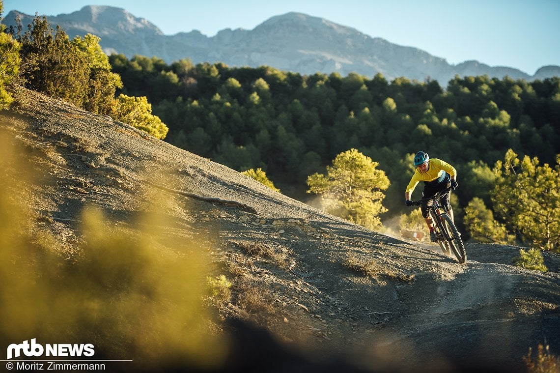 Auf flowigen Strecken ist das Specialized Stumpjumper ein absoluter Spaßgarant