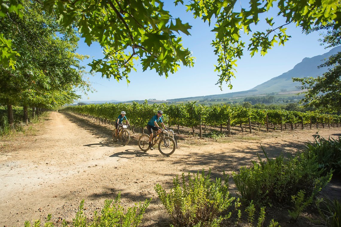 Scenic on Dornier Wine Estate during stage 1 of the 2022 Absa Cape Epic Mountain Bike stage race from Lourensford Wine Estate to Lourensford Wine Estate, South Africa on the 21st March 2022. © Dom Barnardt / Cape Epic