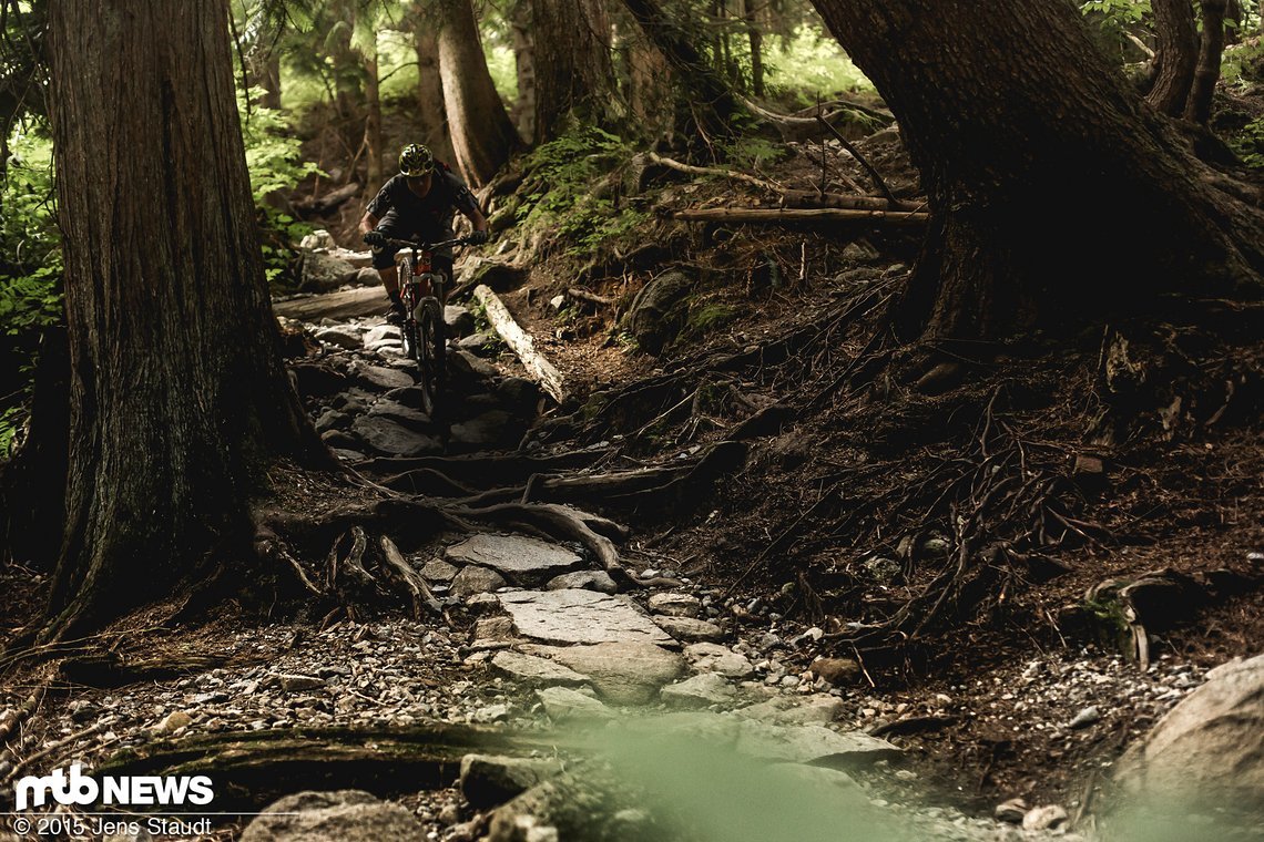 Das Trailnetz ist gut beschildert und die meisten Einstiege gut sichbar ausgebaut