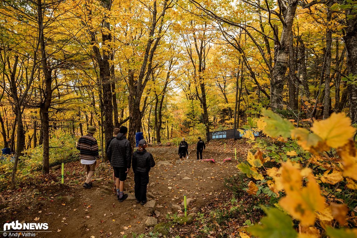 Nach dem recht flotten Start auf der Wiese geht's in den herbstlichen Wald.