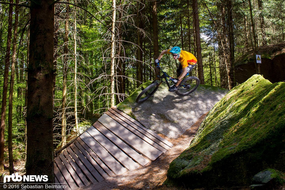 Dann geht es wieder in den Wald