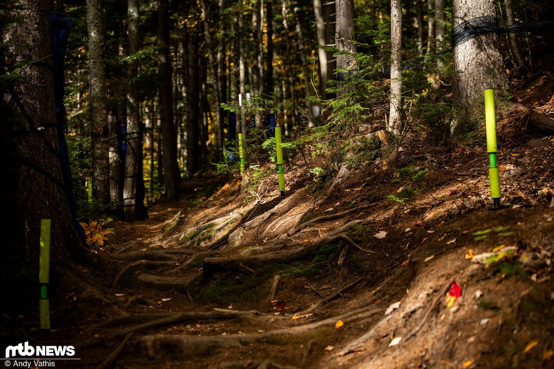 MTBNews