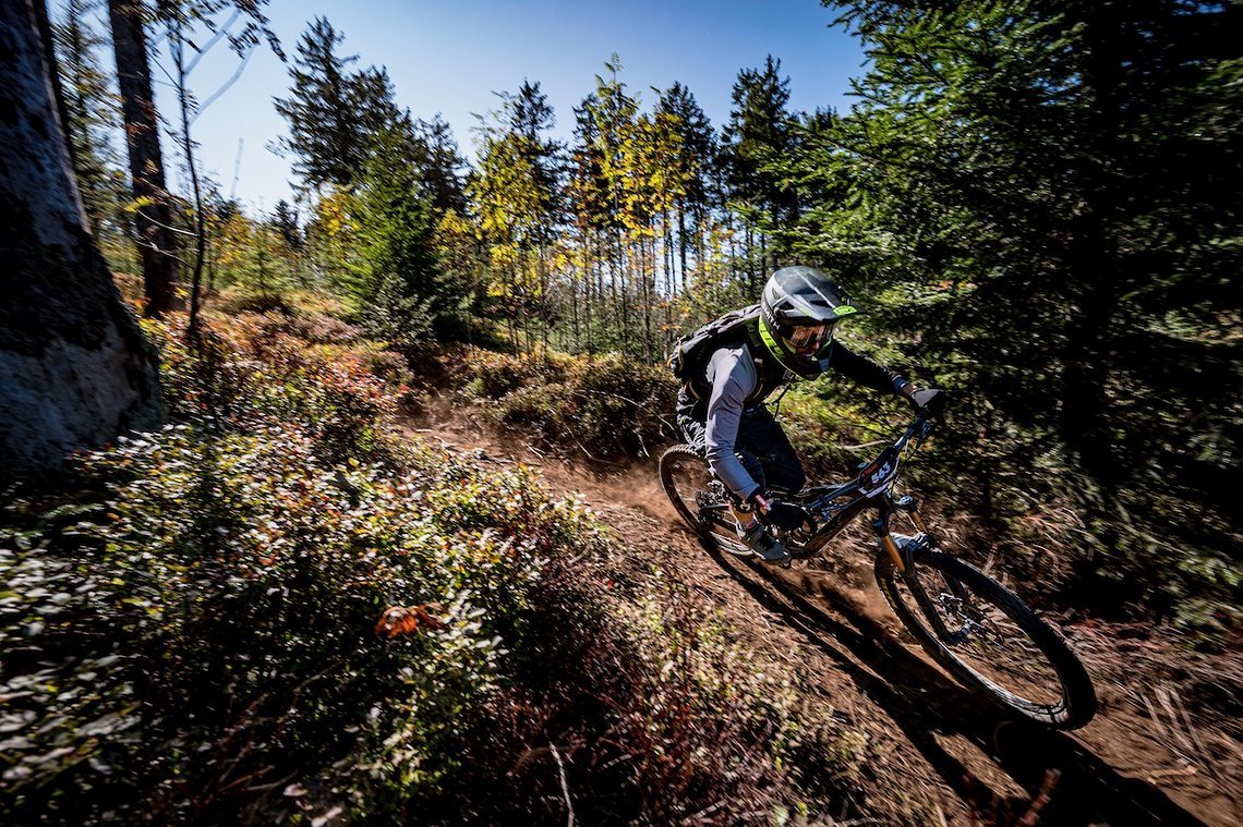 Manfred Stromberg - 2021 neue Trail Action