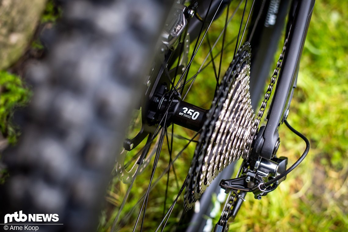 Canyon Strive-8257