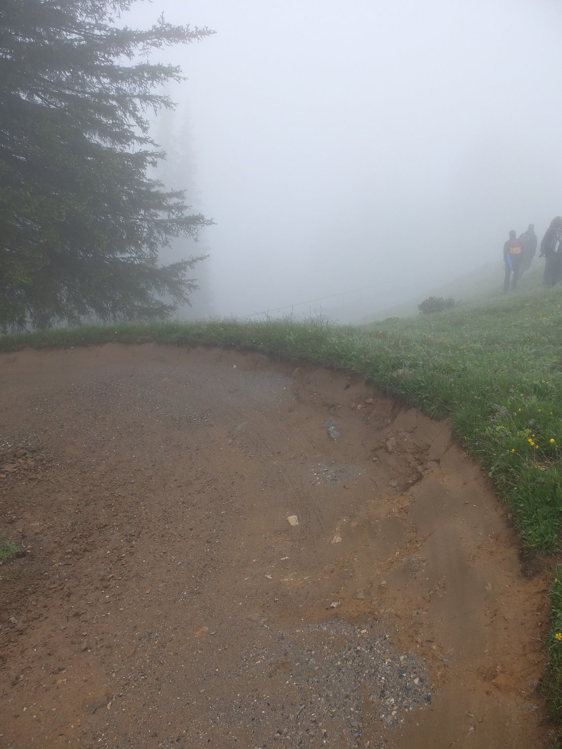 Weniger Bikepark, mehr natürliche Abschnitte