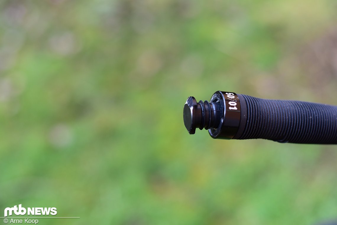 DSC 1477