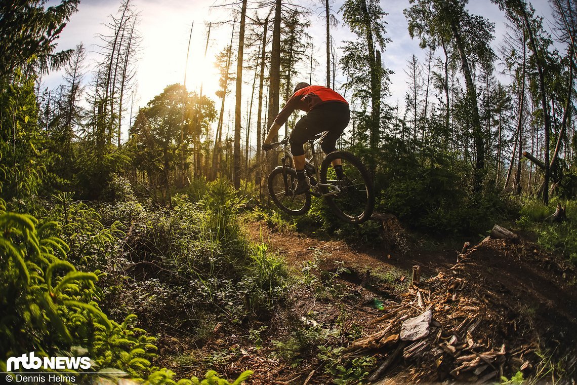 Crossworx Dash 29 Test-16