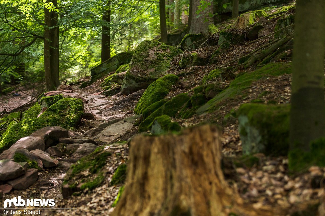 Nur weil im Direktvergleich zum weiterhin populären Enduro 2-3 cm weniger Federweg vorhanden sind, ist man nicht auf Forstwege beschränkt