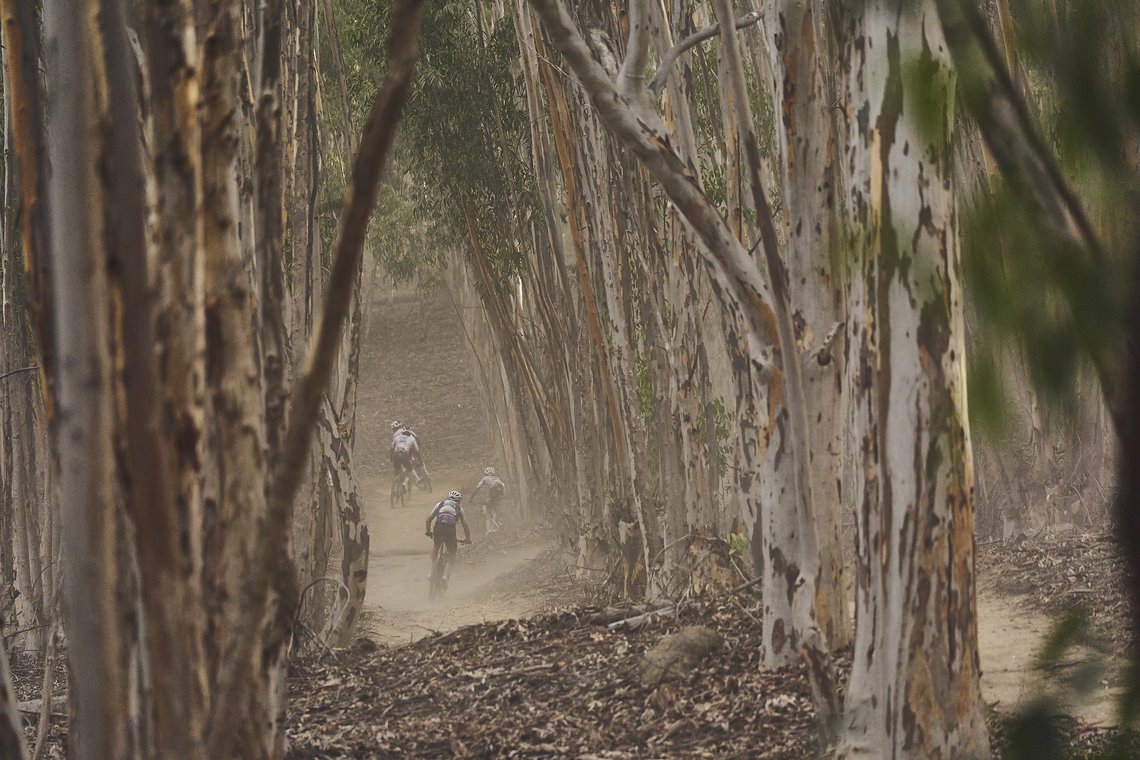 during Stage 4 of the 2025 Absa Cape Epic Mountain Bike stage race held at Fairview, Paarl, Cape Town, South Africa on the 20th March 2025. Photo by Michael Chiaretta/Cape Epic
PLEASE ENSURE THE APPROPRIATE CREDIT IS GIVEN TO THE PHOTOGRAPHER AND ABS