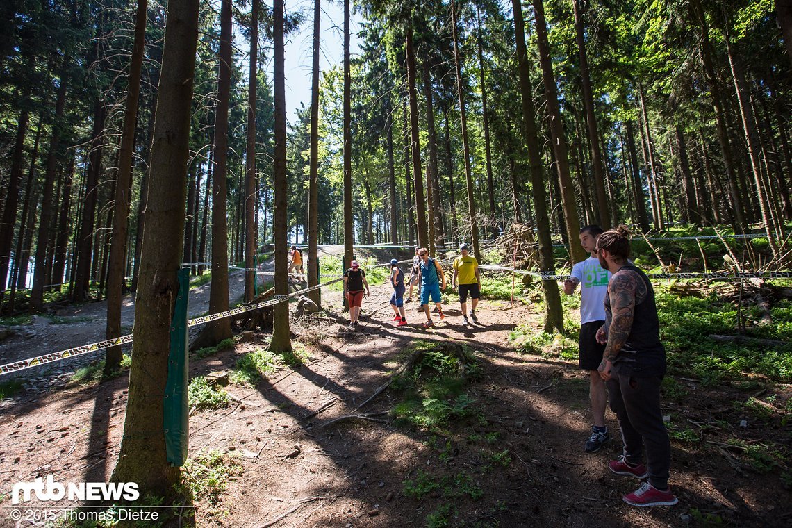 Im Wald ist es schön breit abgesteckt