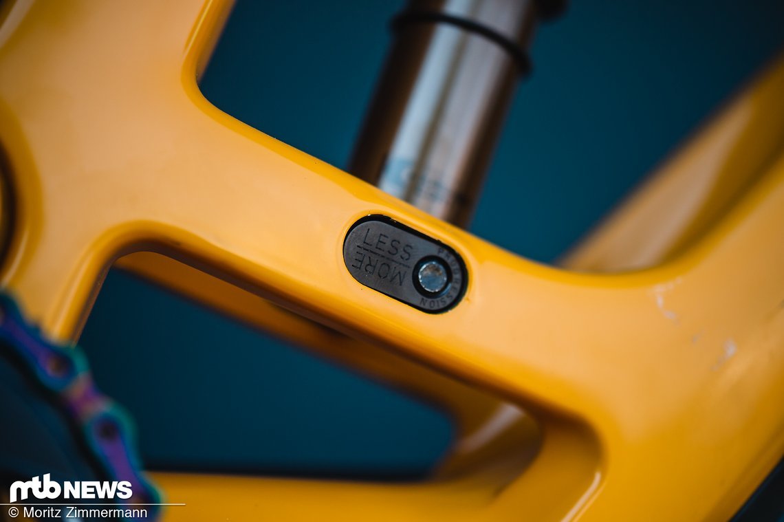 Mit diesem Flipchip lässt sich das Leverage Ratio des Hinterbaus anpassen