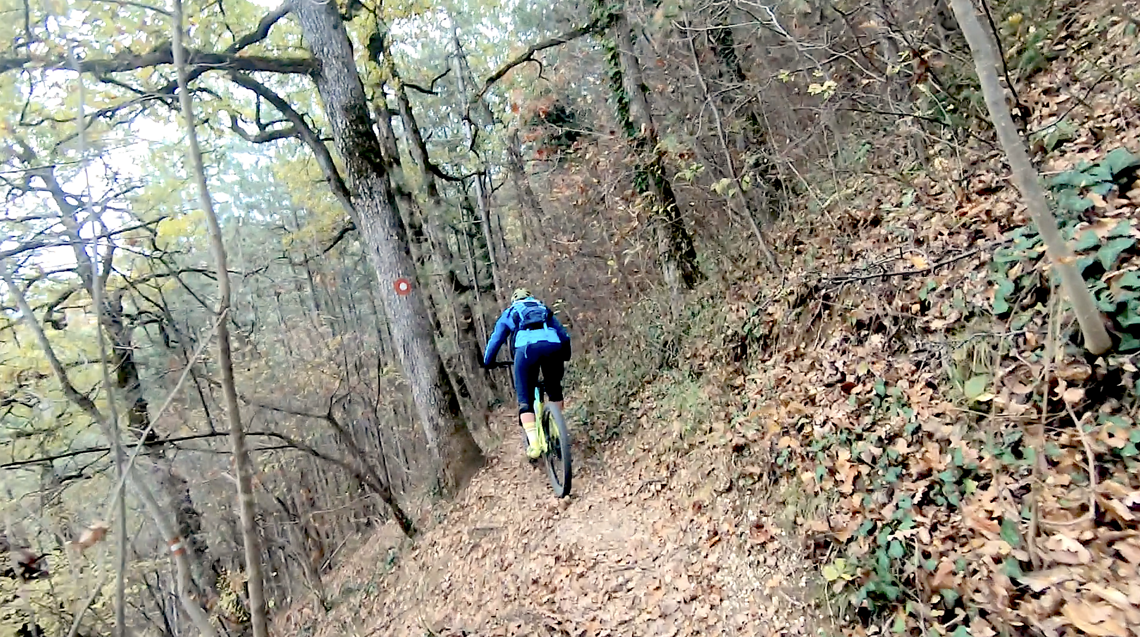 Spaßiges Laub-Shredden in Zagreb!