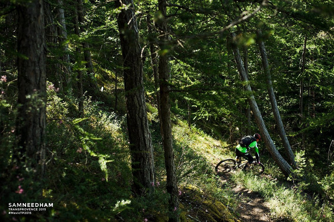 Entspannte Wald-Trails