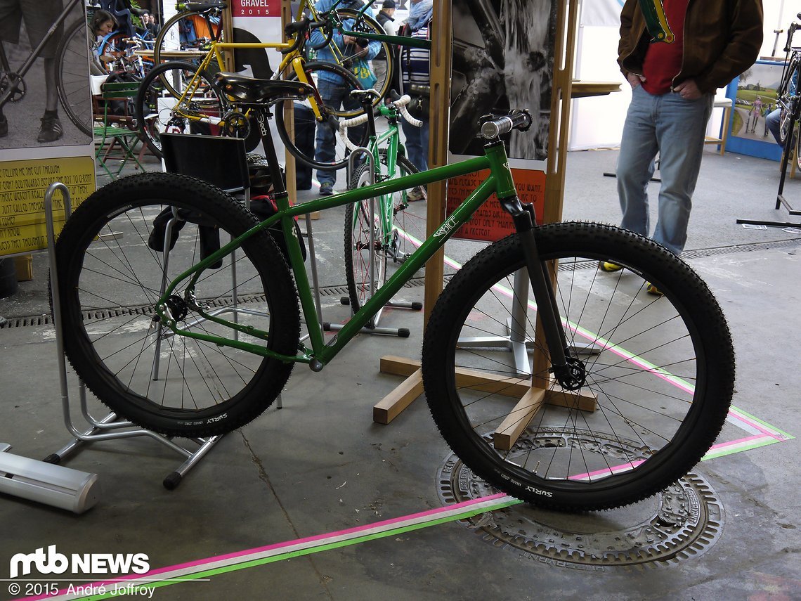 Bice 29er+