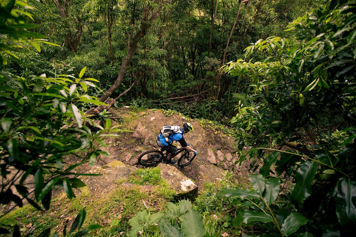 Erwin Faial da Terra2