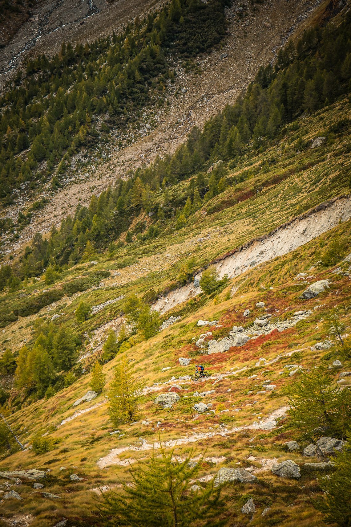 mtb