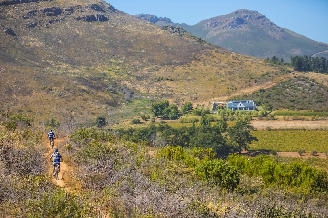 Riders head down single track on Dornier Wine Estate during stage 1 of the 2022 Absa Cape Epic Mountain Bike stage race from Lourensford Wine Estate to Lourensford Wine Estate, South Africa on the 21st March 2022. © Dom Barnardt / Cape Epic