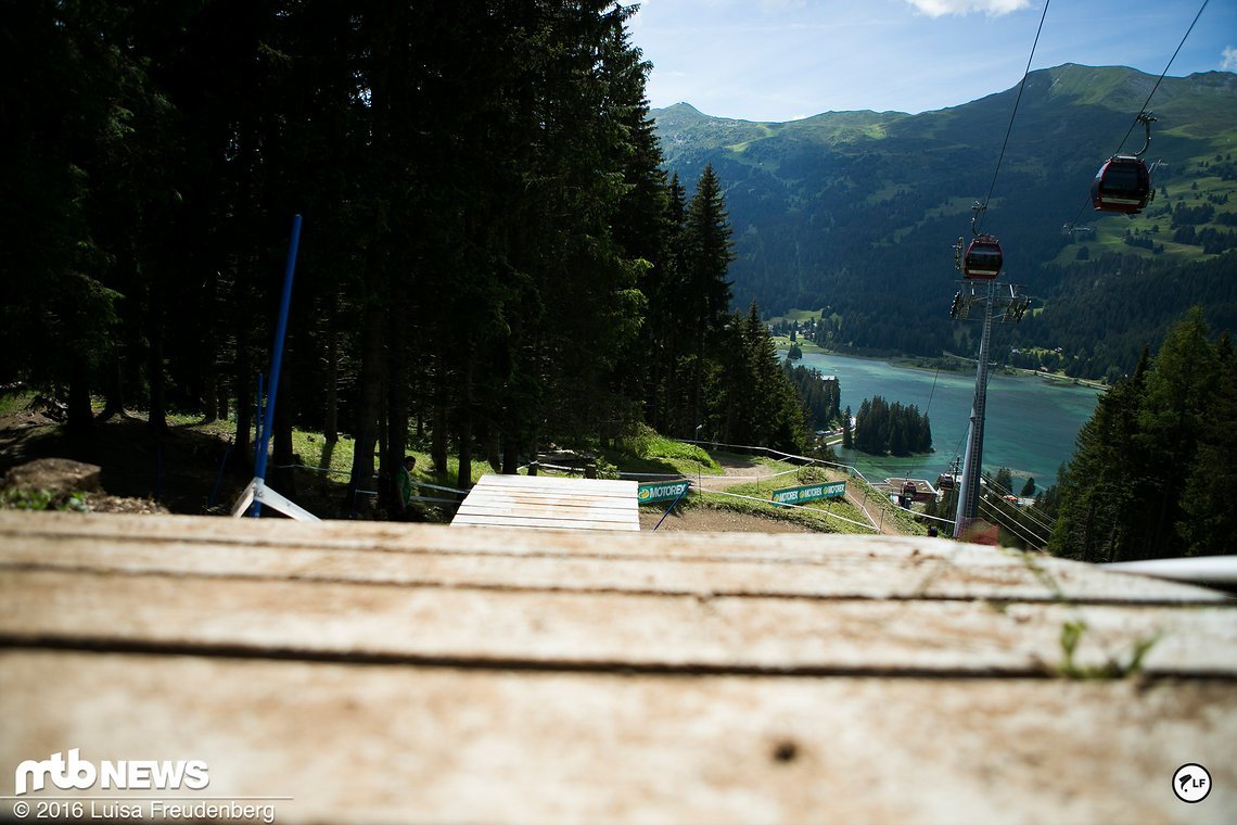 Noch mal etwas verarbeiteter Wald ...