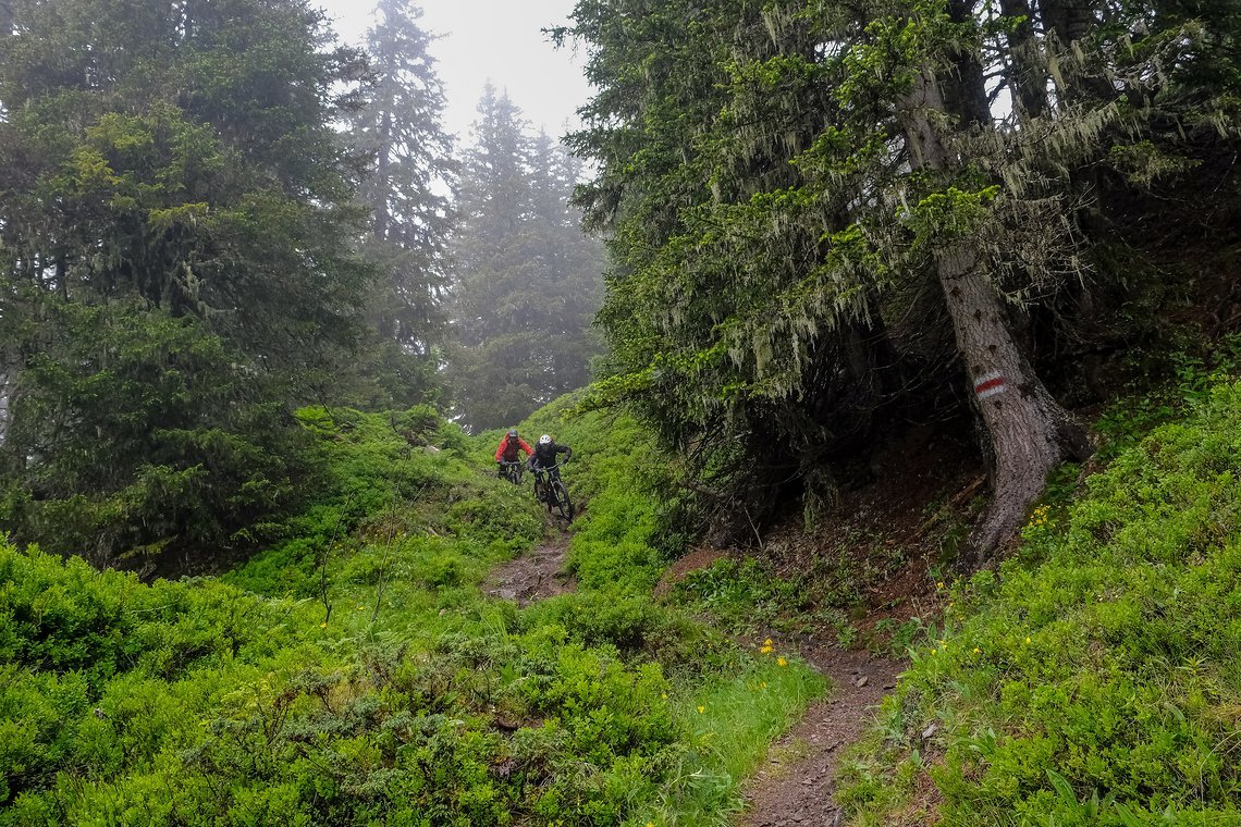 ... verwandelte sich der Weg in einen super-spaßigen Singletrail.