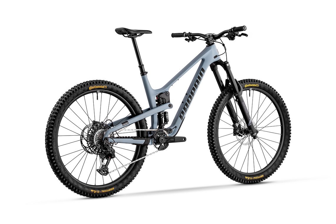 Tyee-CF-pigeon-blue-bomber-003-Falch-Photography