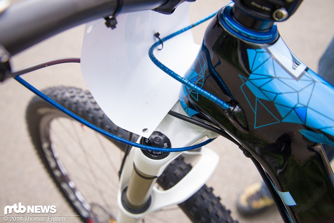 Feine Decals und farblich passende Nokon-Züge am Rad von Kathrin Stirnemann.