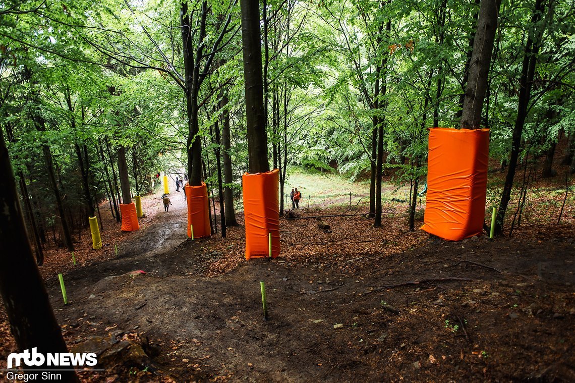Immer wieder muss man nach Wald-Passagen kurze Wiesen-Sektionen queren, weshalb es auch darauf ankommen wird, möglichst viel Geschwindigkeit mit aus den Wald-Abschnitten zu nehmen.