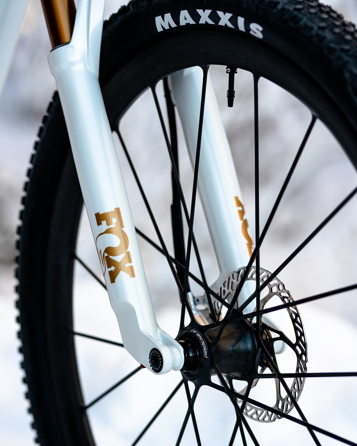 Dangerholm Hyper Spark 2021 SCOTT Bike Image by Andreas TimfÃ¤lt DSC465822
