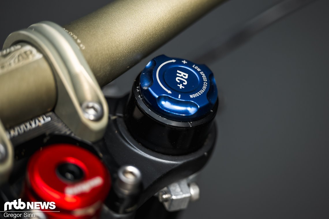 Zerode-Eleonora-Farina-3056