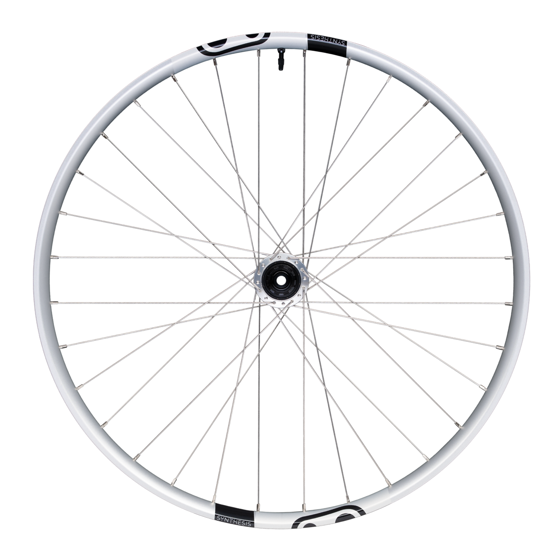 Die E-Bike-Version setzt auf die gleiche Felge wie die Downhillversion.