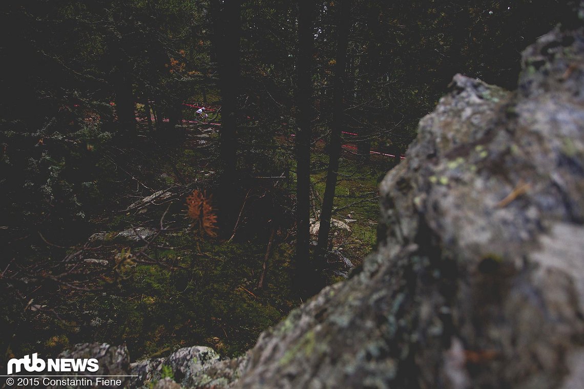 Allein durch die Wälder von Andorra...