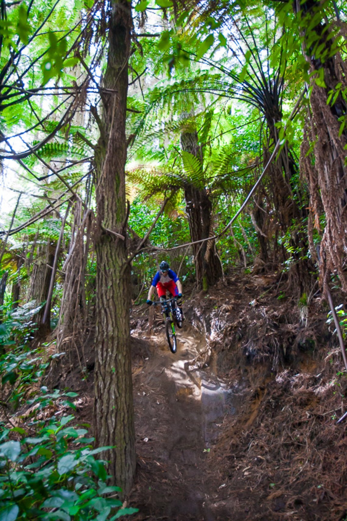 Rotorua #5