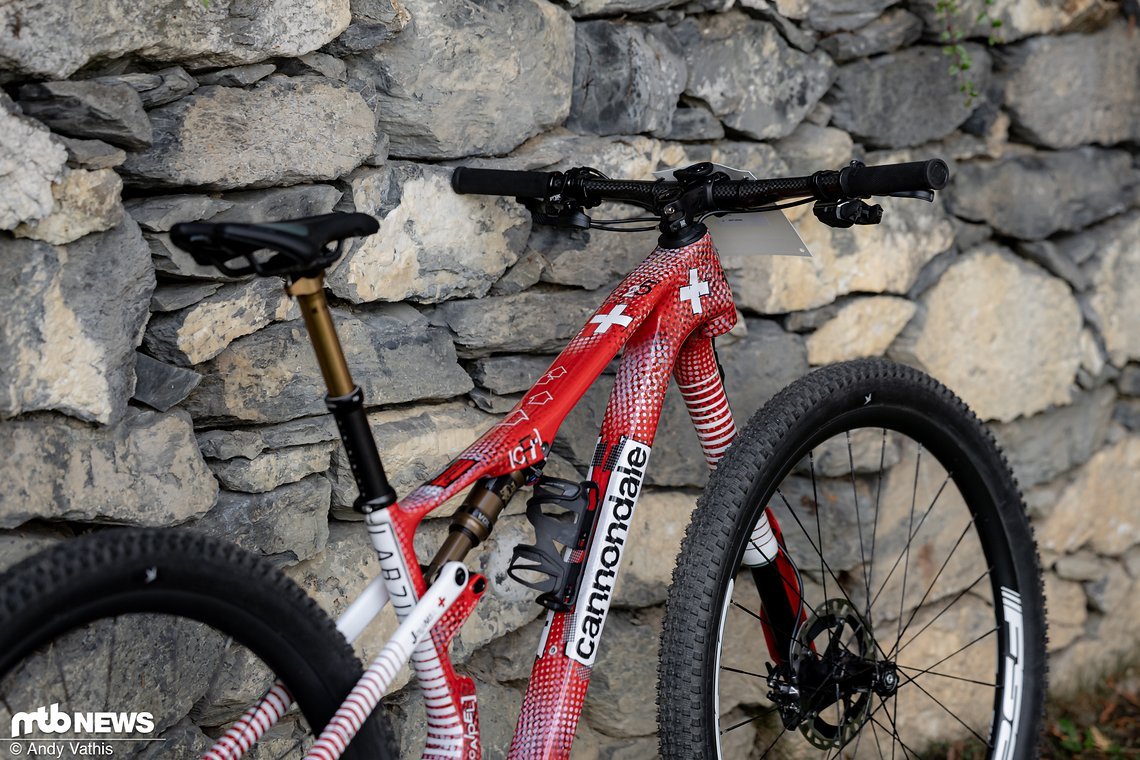 Mit einem besonderen Hinterbau-Ansatz, der mittels verdünnten Kettenstreben ein Horst-Link imitieren soll und der markanten Lefty-Federgabel hebt sich das Cannondale Scalpel ohne Zweifel vom Rest des Marktes ab.