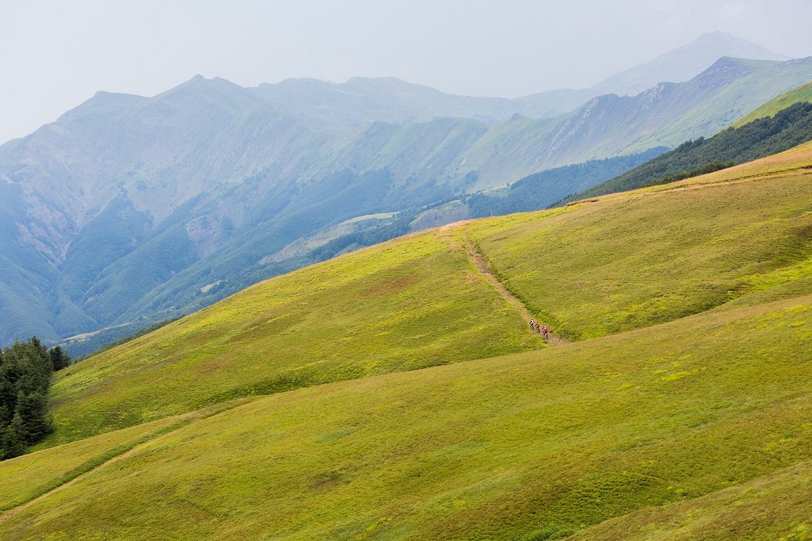Die typischen Almwiesen, wie man sie aus den Alpen kennt