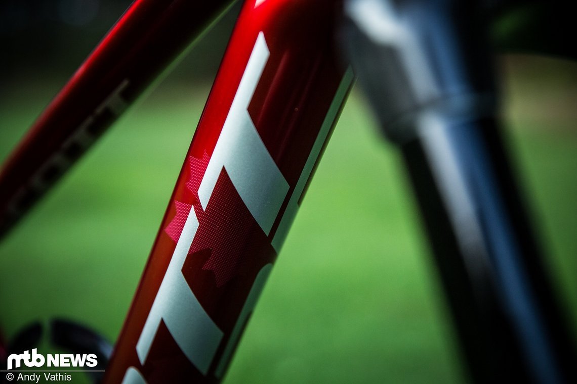 MTBNews19 MSA-1654