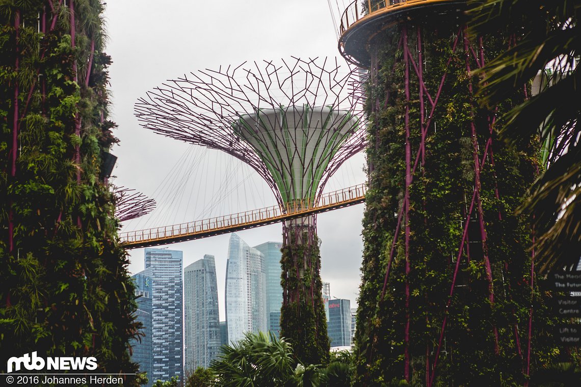 Supertrees und Skyline